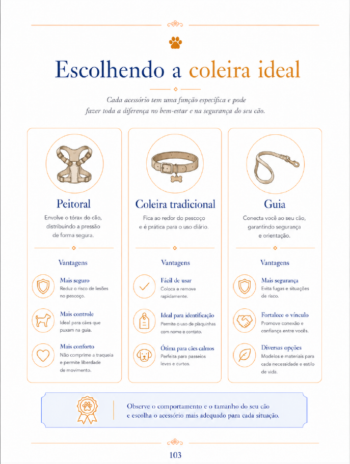 Cuidados práticos